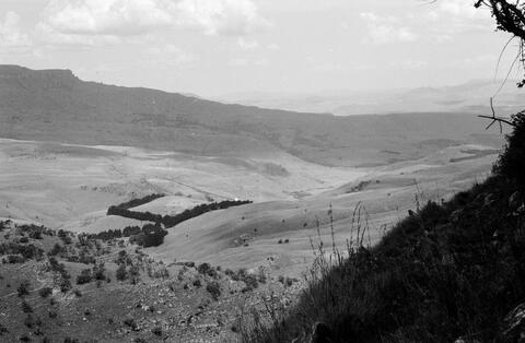 Open original Digitaal object