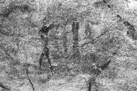 NMSA 03 207P