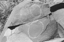 NMSA 03 7596P