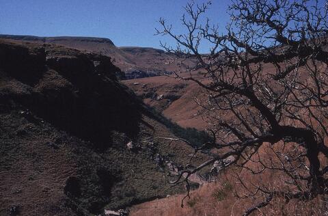 Open original Digitaal object