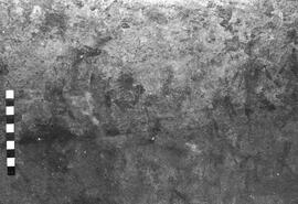 NMSA 03 6349P