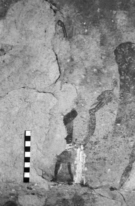 NMSA 03 4177P