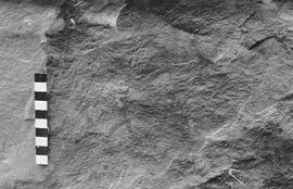 NMSA 03 332P