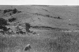 NMSA 03 689P
