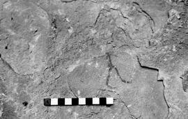 NMSA 03 2982P