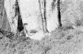 NMSA 03 3508P