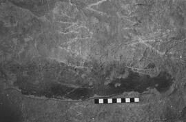 NMSA 03 2489P