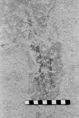 NMSA 03 4819P