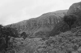 NMSA 03 4314P