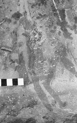 NMSA 03 1367P