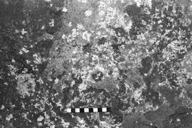 NMSA 03 6894P