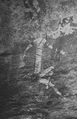 NMSA 03 7402P