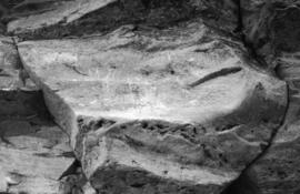 NMSA 03 8723P