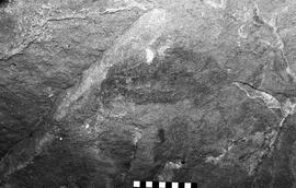 NMSA 03 6394P