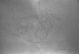 NMSA 03 8080P
