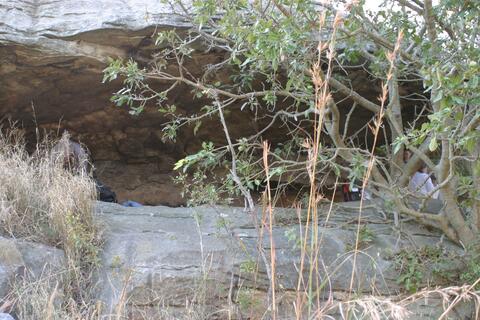 Open original Digital object