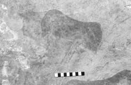 NMSA 03 1325P