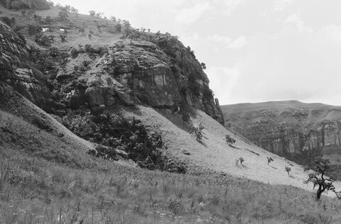 Open original Digitaal object