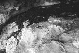 NMSA 03 6468P