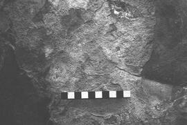 NMSA 03 2697P