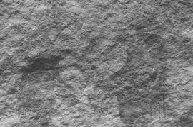 NMSA 03 938P