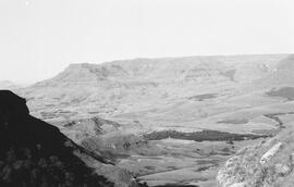 NMSA 03 2119P