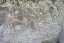 NMSA RSA SNW1 21D