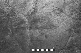 NMSA 03 6460P