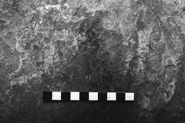NMSA 03 3227P