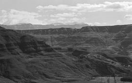 NMSA 03 5217P