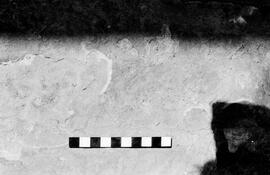 NMSA 03 2250P