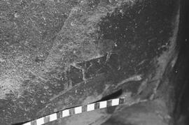 NMSA 03 6934N