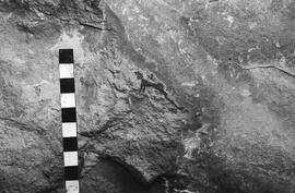 NMSA 03 4500P