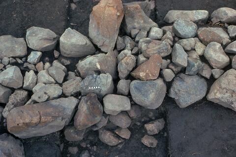 Open original Digital object