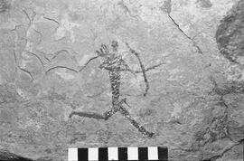 NMSA 03 1195P