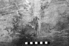 NMSA 03 4343P