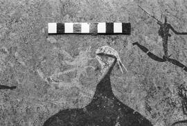 NMSA 03 1430P