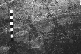 NMSA 03 5264P