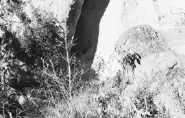NMSA 03 2727P