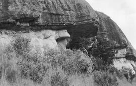 NMSA 03 1944P