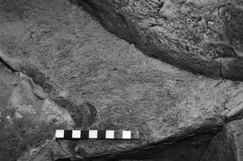 NMSA 03 3792P