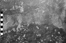 NMSA 03 5316P