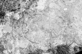 NMSA 03 8099P