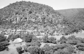 NMSA 03 8855P