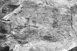 NMSA 03 343P