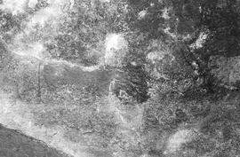 NMSA 03 135N