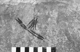 NMSA 03 1396P