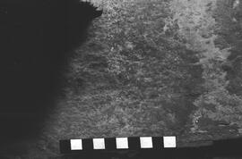 NMSA 03 5987P