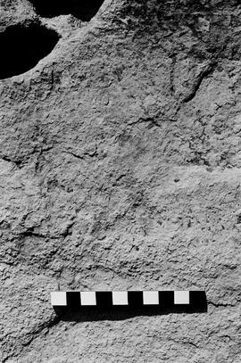 NMSA 03 5233P