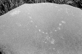 NMSA 03 8027P